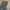 Carhartt Streetwear Casual Pants Pria Multicolor