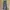 Carhartt Streetwear Casual pants Pria multicolor photo 1