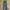 Carhartt Streetwear Casual Pants Pria Multicolor
