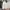 Minimalist Casual Pencil skirt Wanita white photo 2