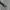 Vintage Studded Leather Belt photo 1