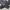 Sweater Crewneck DKNY Raglan photo 6