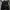 Thisisneverthat- T-Driver Work Jacket photo 1