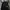 Thisisneverthat- T-Driver Work Jacket