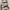 Carhartt Kickflip Backpack Camo Duck Dessert photo 3
