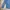 SPAO For Men Blue Camo Slim Fit Shirt photo 7