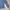 SPAO For Men Blue Camo Slim Fit Shirt photo 8