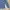 SPAO For Men Blue Camo Slim Fit Shirt photo 4