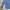 SPAO For Men Blue Camo Slim Fit Shirt photo 3
