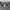  new balance X thisisneverthat crewneck sweatershirt army gr photo 5