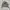  new balance X thisisneverthat crewneck sweatershirt army gr photo 2