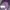 Bucket Hat Thermochromic Skintouch Purple  photo 2