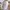 Ushanka Hats photo 4