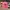 Pink Napa Stateline Hats