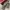 Vans Kids Slip-On photo 1