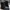 (LIKE NEW) TIMBERLAND Black Waterville Made in Bangladesh photo 1