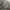 “H&M” CAMO CREWNECK CASUAL photo 1