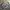“H&M” CAMO CREWNECK CASUAL