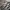 “H&M” CAMO CREWNECK CASUAL photo 3