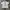 Vintage Neighborhood Technichal Apparel T-shirt
