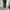 UNIQLO WIDE TAPERED JEANS  photo 1