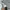 Crewneck Adidas Trefoil photo 8