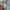 Kaos Bass Pro Shops Big Size photo 4