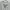 Kaos Bass Pro Shops Big Size photo 2