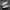 New Balance Sportswear Casual Sneakers Pria white gray photo 1