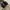 Gucci leather shoe photo 4