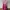 Floral Botanical Cheongsam Pink Dress