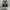 Rare Converse Jack Purcell Leather OX Low Japan Original photo 4