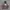 Hoodie Chambre Discontinued (CHMB)