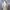 Y2K Unknown Women Abstract Tops photo 7