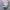 Y2K Unknown Women Abstract Tops photo 8
