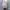 Y2K Unknown Women Abstract Tops photo 3