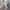 Y2K Unknown Women Abstract Tops photo 4