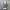 Unknown Women Japanese Pleats Sleeveless Tops photo 1