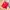 Shortpants Swimwear Polo Raplh Lauren Red