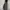 LIPHOP Grey Baggy Pants photo 5