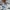 Acme De La Vie  Streetwear Jeans Pria white photo 6