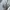 Acme De La Vie  Streetwear Jeans Pria white photo 4