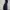 Dickies Genuine Cargo Pants photo 5