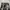Uknown Pattern Baggy Pants photo 9