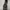 Uknown Pattern Baggy Pants photo 5
