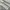 White Corduroy Baggy Pants photo 8