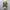 Y2K Unknown Japanese Pleats Longsleeve Women Tops photo 6