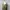 Y2K Unknown Japanese Pleats Longsleeve Women Tops