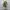 Y2K Unknown Japanese Pleats Longsleeve Women Tops photo 4