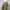 Y2K Unknown Japanese Pleats Longsleeve Women Tops photo 5